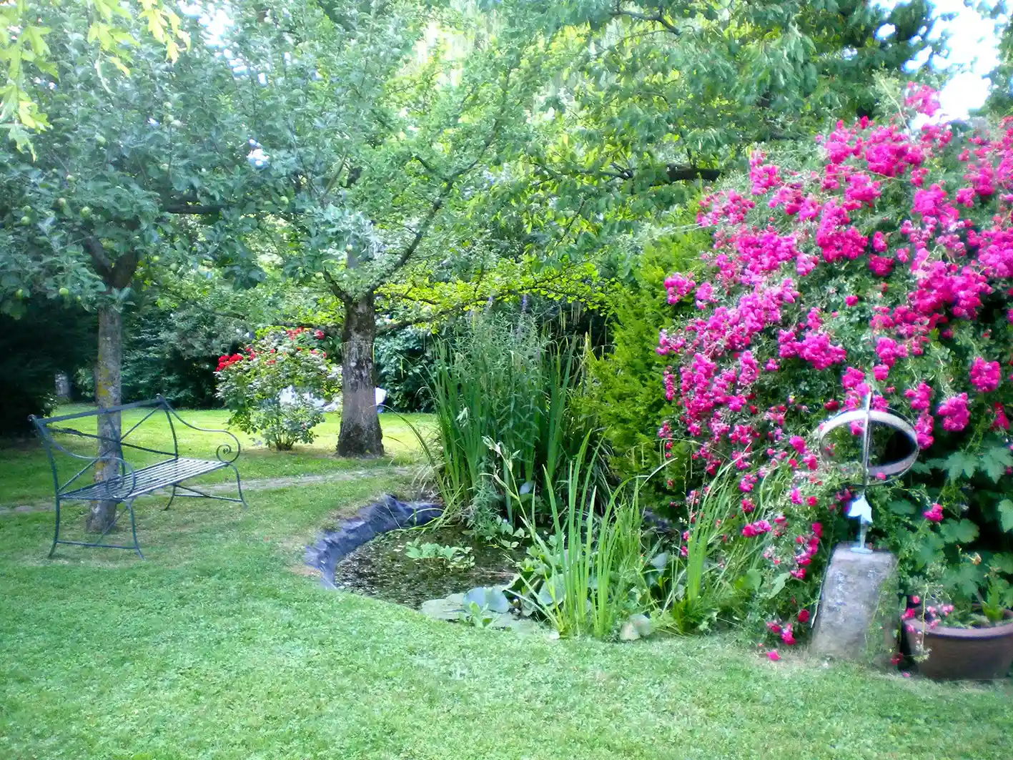 Photo jardin